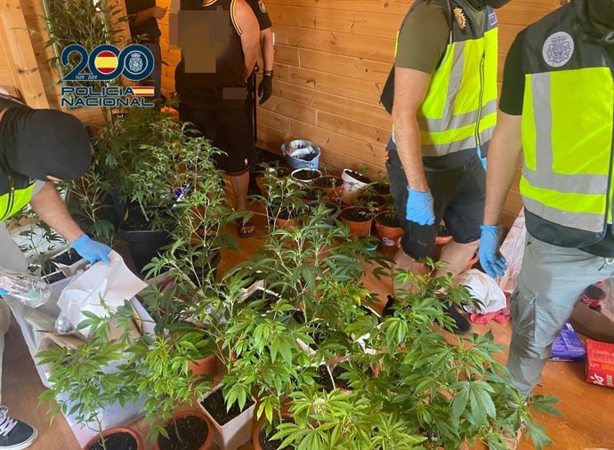 Sucesos.- Desmantelado un punto de venta de drogas en el sur de Tenerife y que operaba como un falso club social