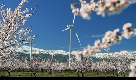 Energía y Medio Ambiente