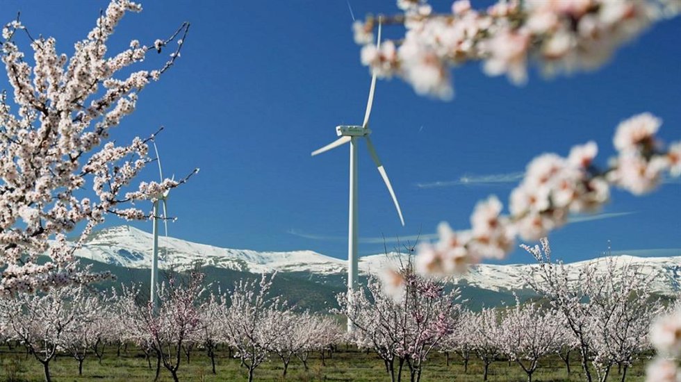 Parque eólico de Iberdrola