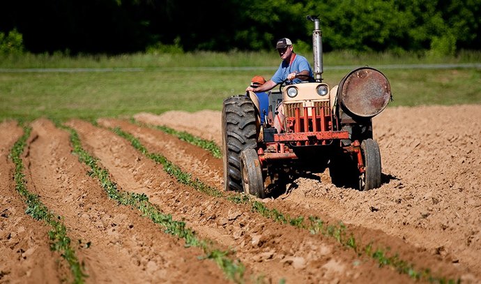 Archivo - Imagen de archivo de un agricultor en su tractor.