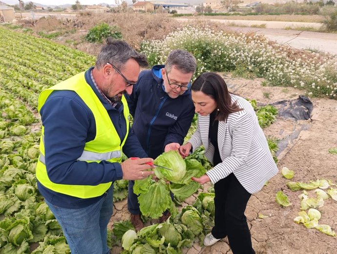Imagen de la consejera de Agua, Agricultura, Ganadería y Pesca, Sara Rubira, junto a agricultores, durante su visita a los cultivos más afectados de plagas en Lorca