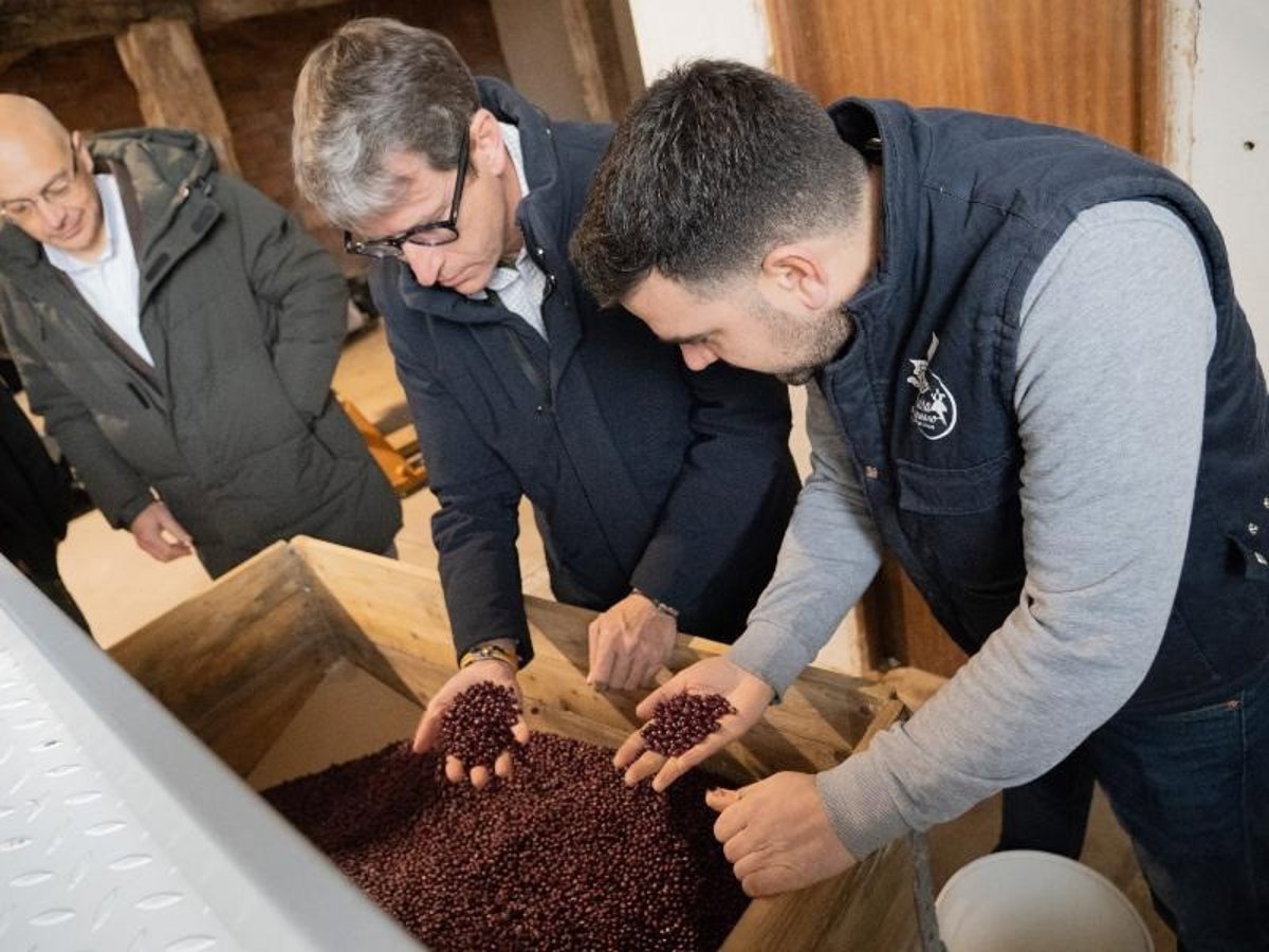 Nace el Centro de Innovación y Selección de Legumbres de la Sierra Riojana  para profesionalizar  y  mejorar  el sector