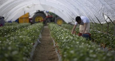 Es Andalucía - Sevilla