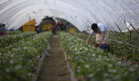 Es Andalucía - Sevilla