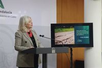 La Junta invertirá 13,5 millones en obras de emergencia en vías pecuarias, caminos forestales y equipamientos de Cádiz