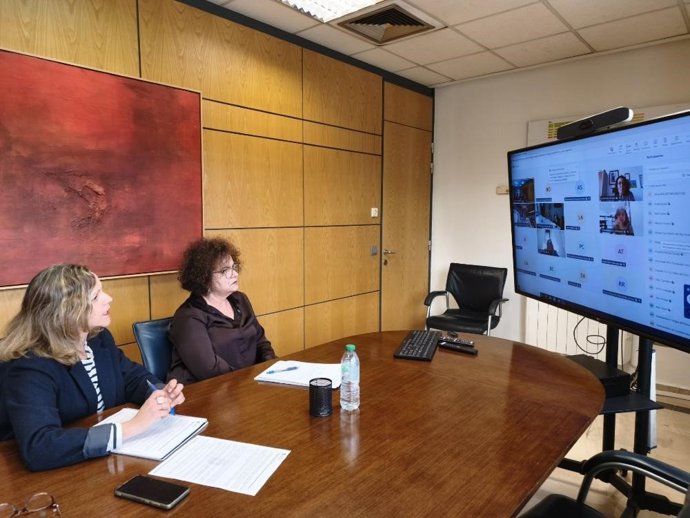 Marta del Arco, en la reunión telemática