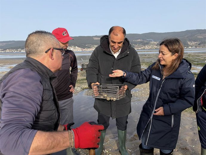 Marta Villaverde, observando parte de la almeja recogida por los mariscadores