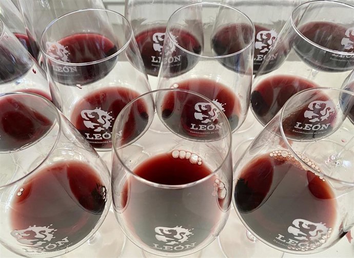 La DO León ha obtenido veinte medallas en Catavinum World Wine & Spirits Competition.