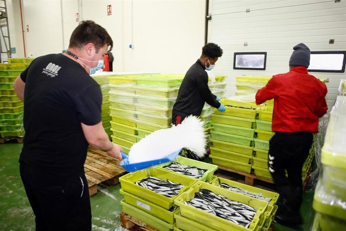 Archivo - El Ministerio abre la campaña de la anchoa en el golfo de Vizcaya y Cantábrico con 1.875 toneladas más.