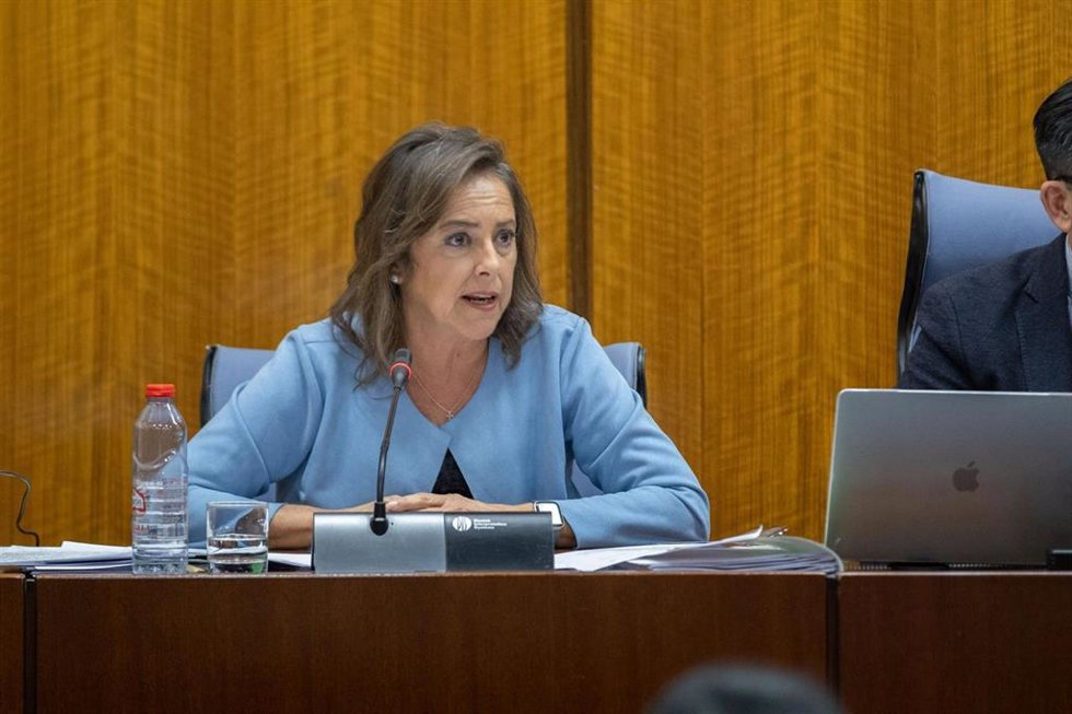 La consejera de Sostenibilidad y Medio Ambiente de la Junta de Andalucía, Catalina García, en la comisión parlamentaria de este miércoles, 4 de marzo.
