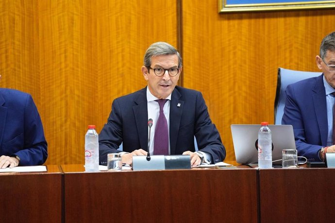 Archivo - Imagen de archivo del consejero de Industria, Jorge Paradela, en comisión parlamentaria.