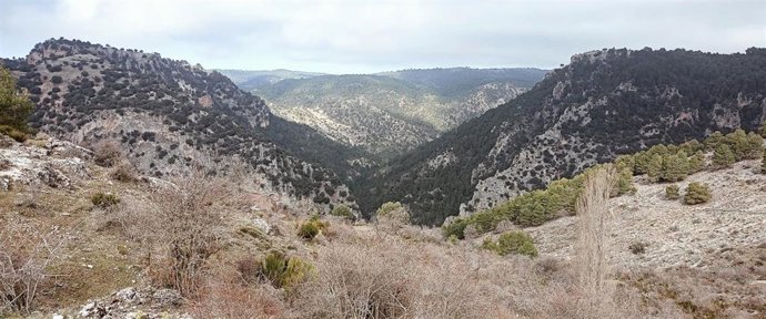 Parque Natural de Cazorla, Segura y La Villas.