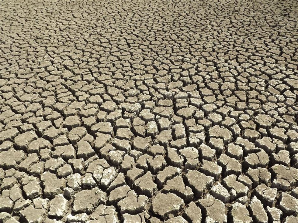 La iniciativa se desarrolla en un contexto marcado por los fenómenos meteorológicos extremos, olas de calor, incendios e inundaciones