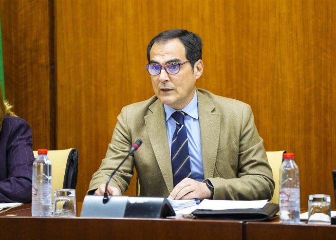 El consejero de Justicia, Administración Local y Función Pública, José Antonio Nieto, en la Comisión parlamentaria. 