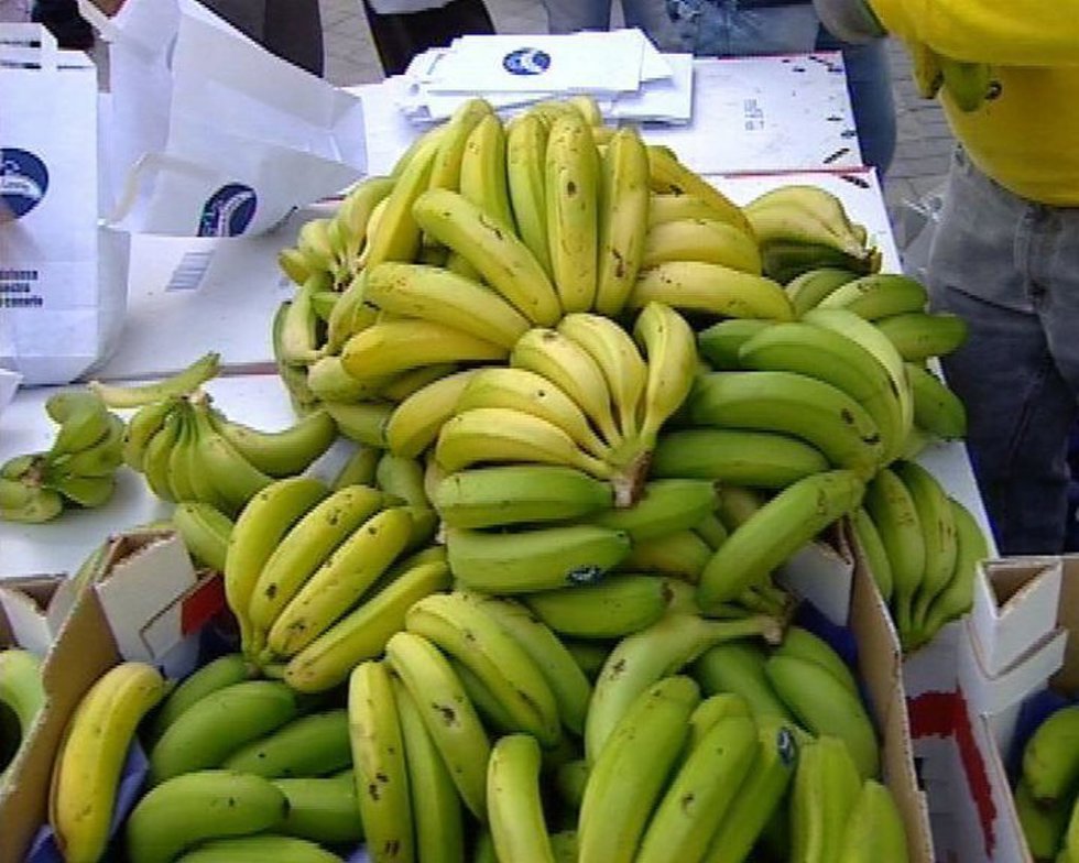 Archivo - Plátano de Canarias