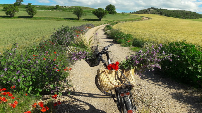 Rutas para descubrir Palencia