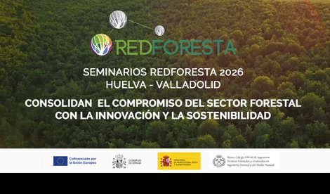 Comunicados Sociedad