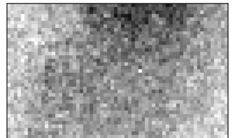 notibrasil sociedade