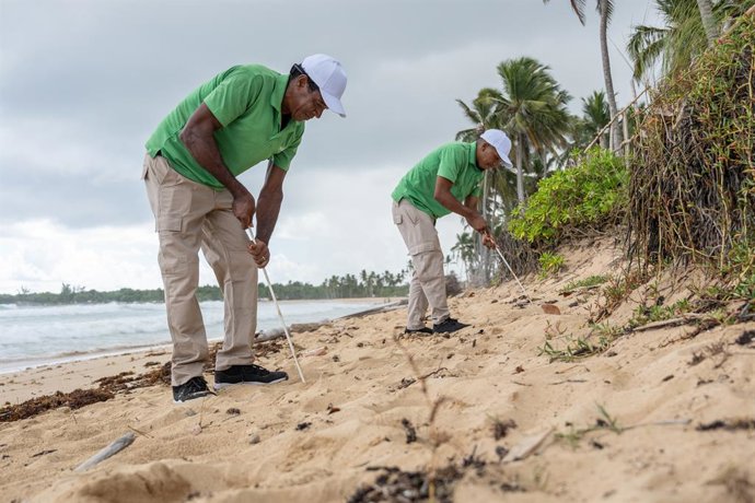 Archivo - La Fundación Eco-Bahia escala su impacto en el Caribe en la protección de especies marinas y restauración de ecosistemas.
