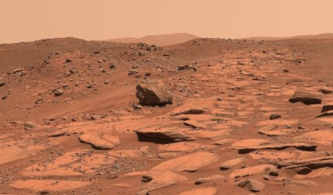 notibrasil sociedade