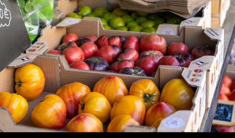 notibrasil economía