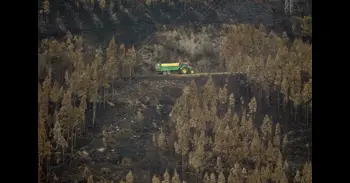 Los daños a bosques en Europa aumentarán alrededor de un 20% para el año 2100, lo que afectará su absorción de carbono
