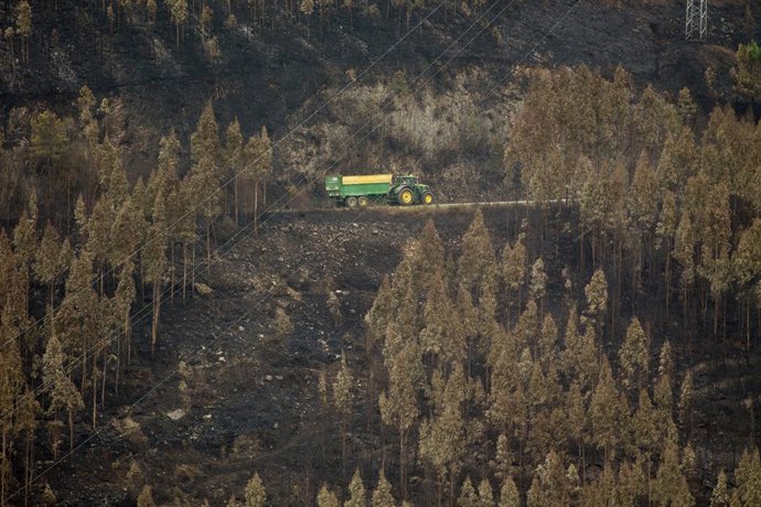 Archivo - Arquivo - Área de floresta queimada após o incêndio, em 16 de outubro de 2023, em Trabada, Lugo, Galícia (Espanha). O Conselho de Meio Rural da Galícia informou que o incêndio que começou na última quinta-feira, 12 de outubro, foi extinto após q