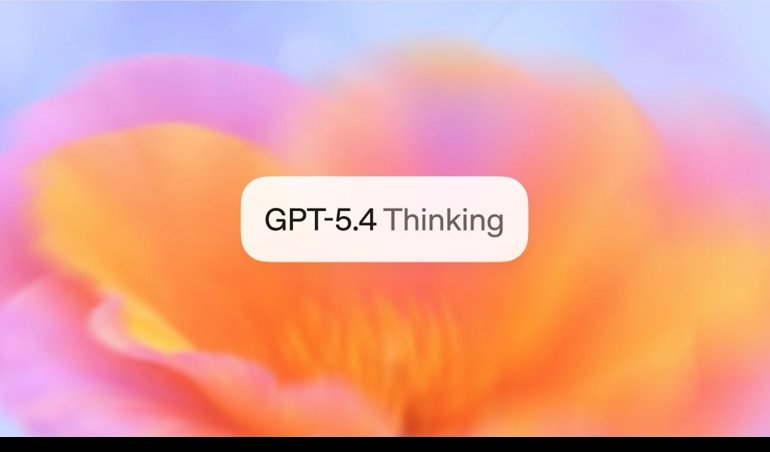 notibrasil sociedade