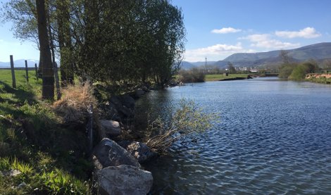 notibrasil política