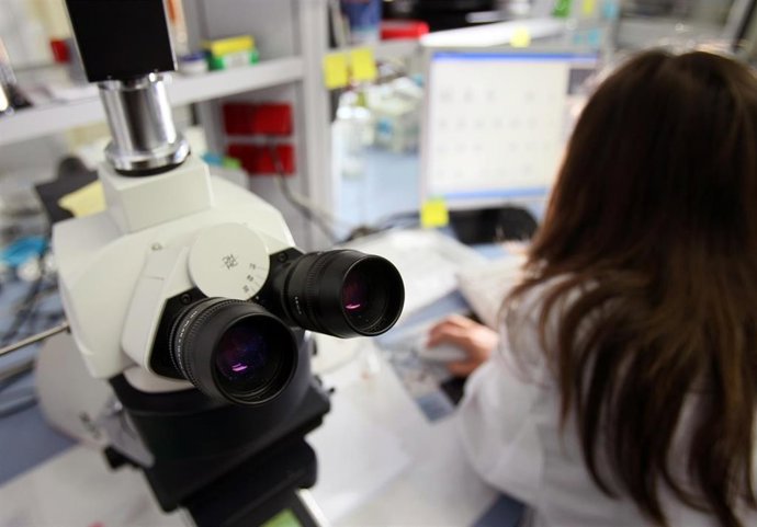 Archivo - Laboratorio del sistema público sanitario de Andalucía.