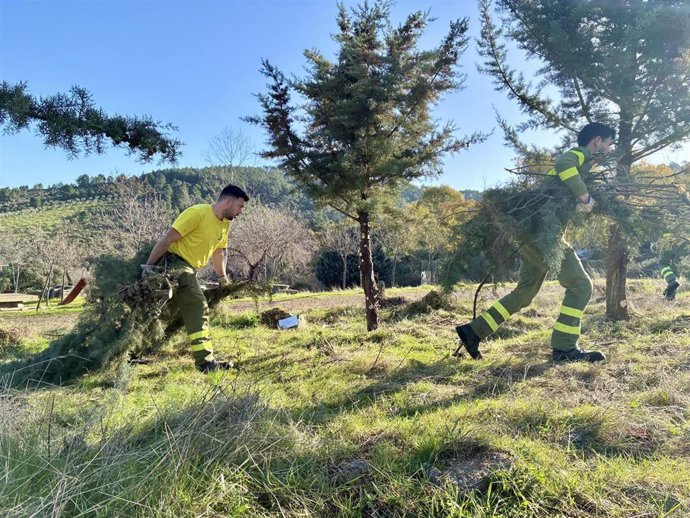 Bomberos forestales del Plan Infoex realizando trabajos preventivos este invierno