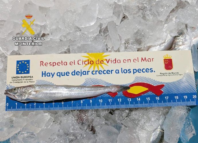 Una de las piezas incautadas