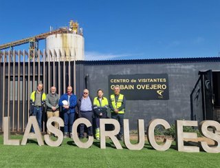 Visita del Colegio de Ingenieros de Minas del Sur a las instalaciones de Cobre Las Cruces.