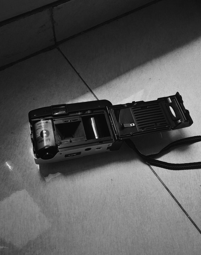 Fotografía en papel