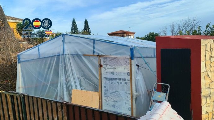 Invernadero en el que se han localizado más de 130 plantas de marihuana en un chalet de El Puerto de Santa María (Cádiz)