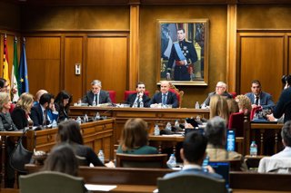 Pleno ordinario de la Diputación Provincial de Almería.