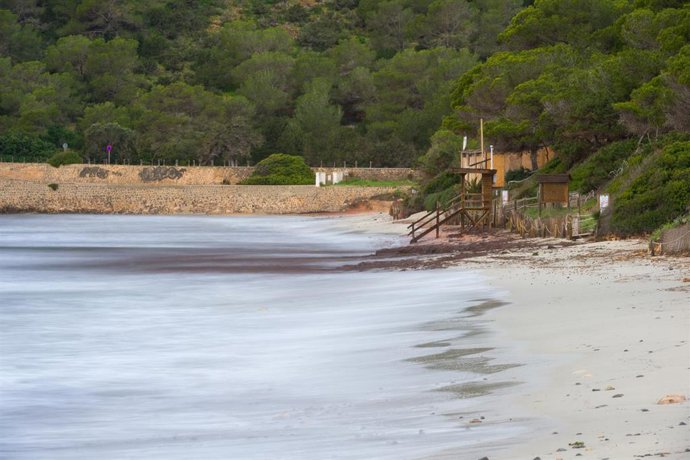 Archivo -  Playa de Ses Salines, a 29 de enero de 2026, en Ibiza, Islas Baleares (España). 
