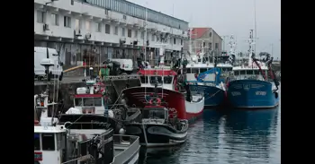 España e Irlanda se alían en una posición común en defensa de los derechos históricos de caballa de la UE