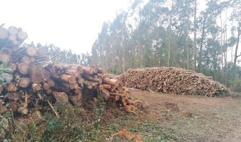 Asturias Rural
