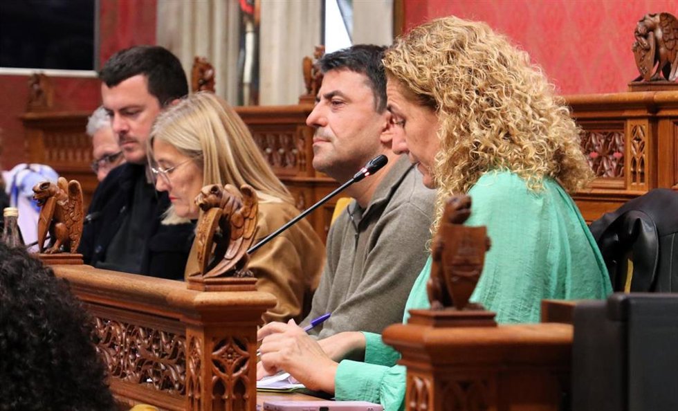 Archivo - La portavoz de MÉS per Mallorca en el Consell de Mallorca, Catalina Inés Perelló, interviene en un pleno del Consell.