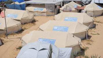 Cooperación y Desarrollo