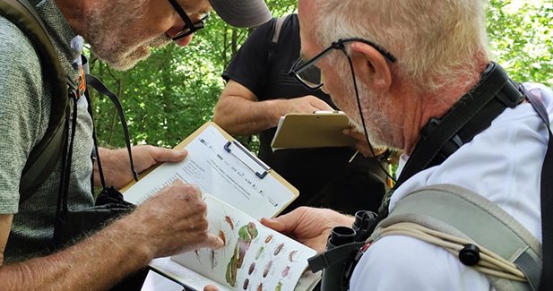 Cantabria Cultura y Deportes