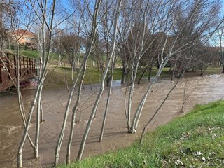 Archivo - Imagen de archivo de una crecida del río Huerva.