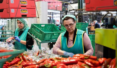 Es  Andalucía - Almería