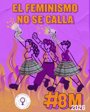 Altozano, Parque Gasset, Infantado o Zocodover, epicentros feministas en CLM al grito de 'El feminismo no se calla'