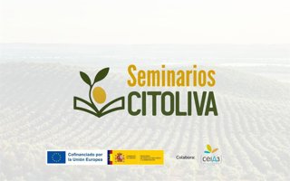 Imagen de Seminarios Citoliva.