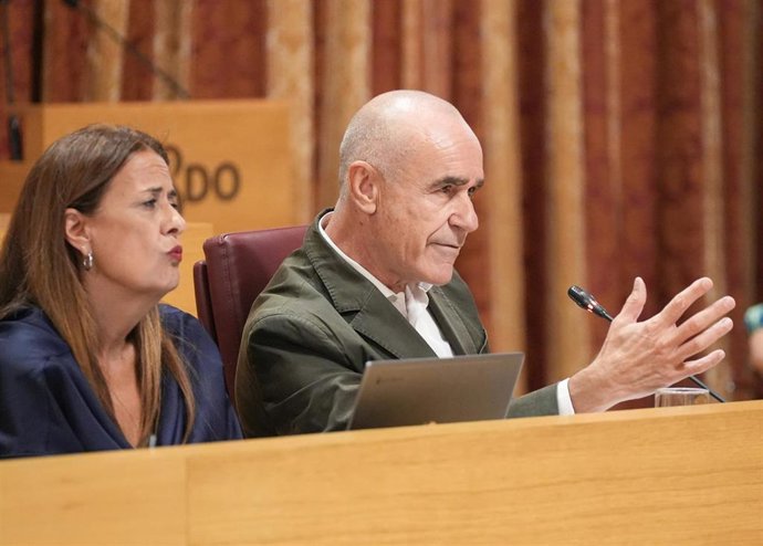 Archivo - El portavoz del grupo socialista, Antonio Muñoz (d), y la concejala Sonia Gaya (i), durante una intervención en un Pleno del Ayuntamiento de Sevilla