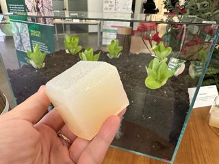 Aimplas impulsa una nueva generación de materiales biodegradables para el sector agrícola