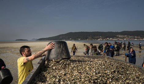 Pesca Galicia