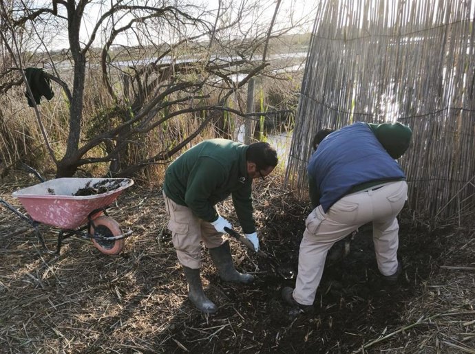 Baleares combina conservación ambiental e inclusión laboral con un nuevo proyecto para mejorar espacios naturales